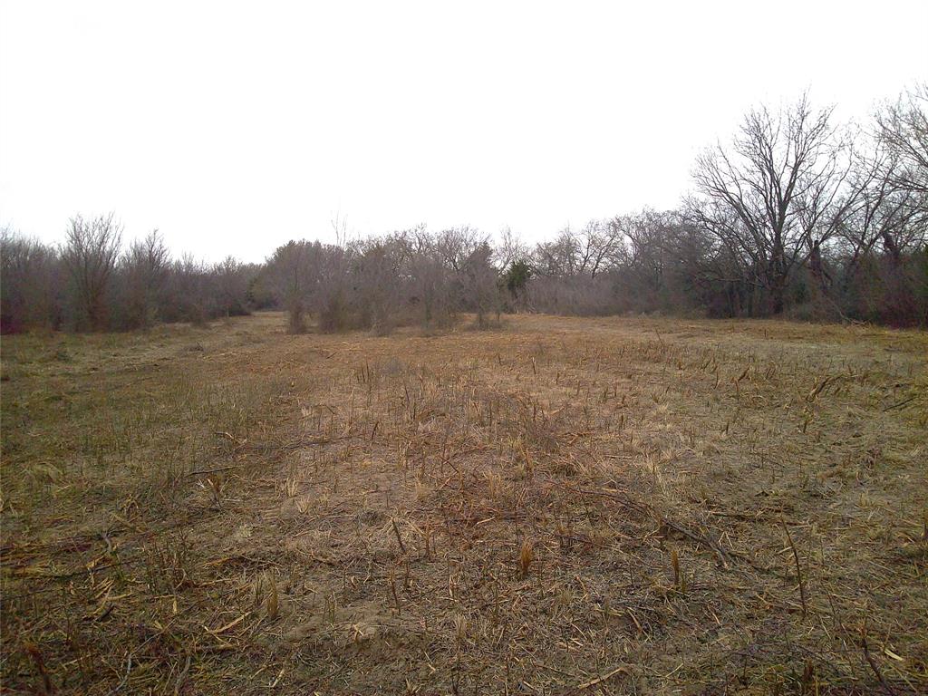 Tr 1 State Hwy 59 - Photo 5