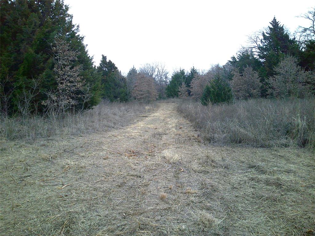 Tr 1 State Hwy 59 - Photo 6