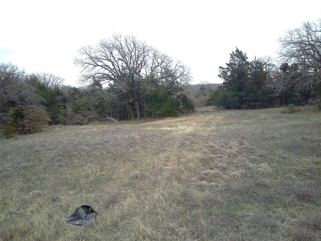 Tr 1 State Hwy 59 - Photo 8