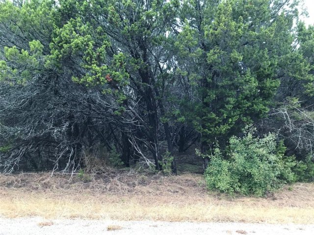 25060 Southhill Drive