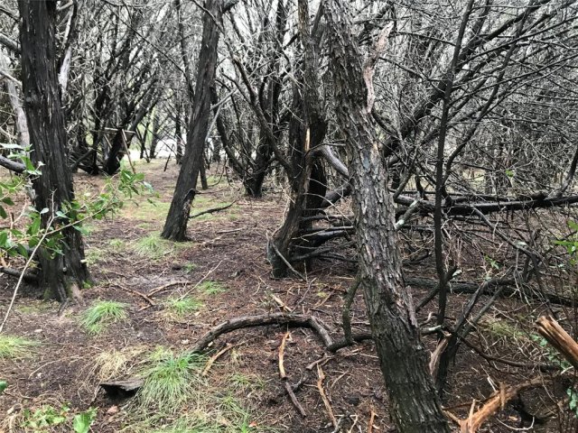 Photo 18