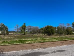 0 Kurth Drive - Photo 11