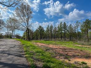 0 Kurth Drive - Photo 14