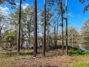 0 Kurth Drive - Photo 18