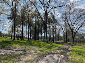 0 Kurth Drive - Photo 7
