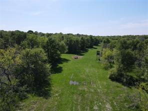 TBD 149.71 Acres SE CR 1240 - Photo 13