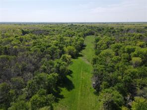 TBD 149.71 Acres SE CR 1240 - Photo 14