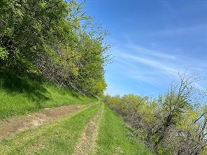TBD 149.71 Acres SE CR 1240 - Photo 19