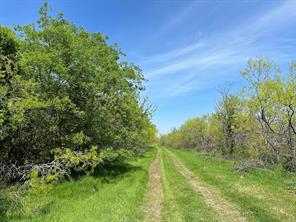 TBD 149.71 Acres SE CR 1240 - Photo 20