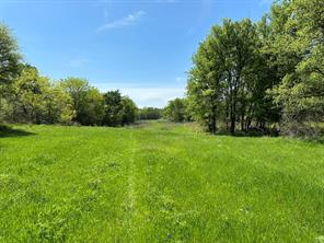 TBD 149.71 Acres SE CR 1240 - Photo 22