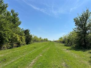 TBD 149.71 Acres SE CR 1240 - Photo 24