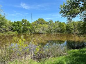 TBD 149.71 Acres SE CR 1240 - Photo 25