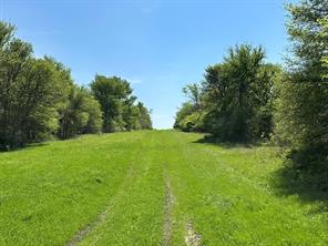 TBD 149.71 Acres SE CR 1240 - Photo 27