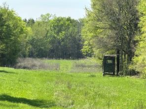TBD 149.71 Acres SE CR 1240 - Photo 30