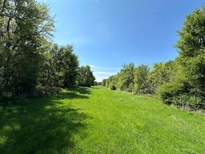 TBD 149.71 Acres SE CR 1240 - Photo 31