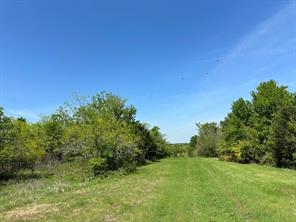 TBD 149.71 Acres SE CR 1240 - Photo 32