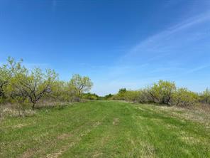 TBD 149.71 Acres SE CR 1240 - Photo 34