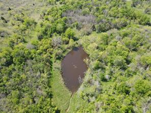 TBD 149.71 Acres SE CR 1240 - Photo 8
