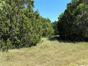 40057 Radde Road - Photo 2