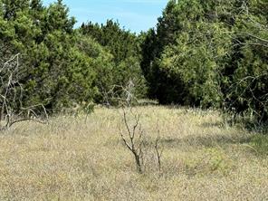 40057 Radde Road - Photo 5