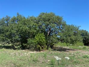 91 State Highway 16 S - Photo 12