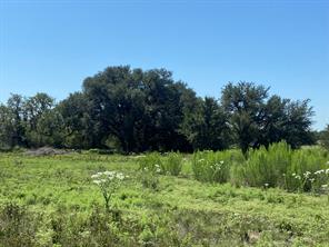 91 State Highway 16 S - Photo 22