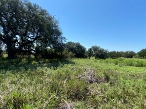 91 State Highway 16 S - Photo 24