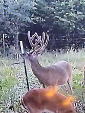 91 State Highway 16 S - Photo 27