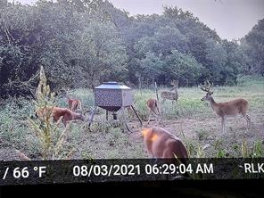 91 State Highway 16 S - Photo 28