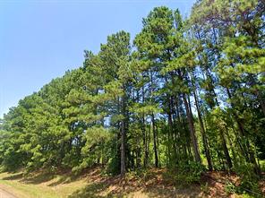 0 HWY 155 - Photo 3