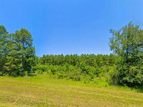 0 HWY 155 - Photo 4