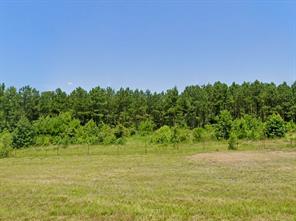 0 HWY 155 - Photo 6