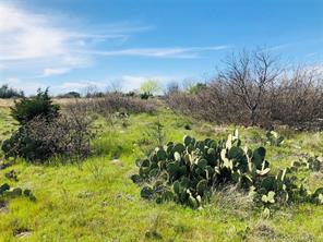 Lot 220 Oak Tree Drive - Photo 8