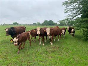 619 N Watson Street - Photo 18