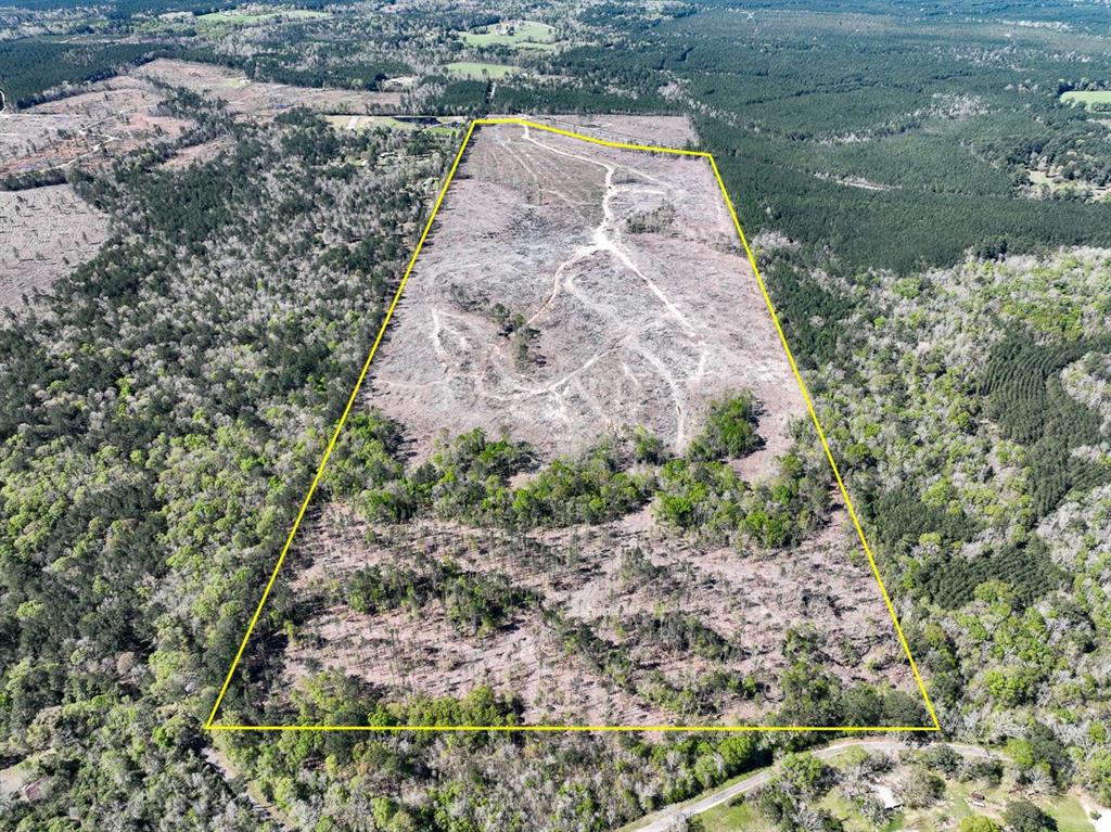 1 County Road 443 - Photo 1