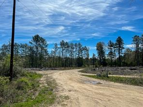 1 County Road 443 - Photo 10