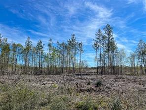 1 County Road 443 - Photo 11