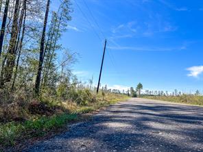 1 County Road 443 - Photo 2