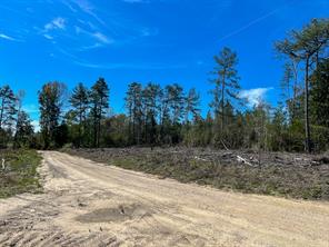 1 County Road 443 - Photo 3