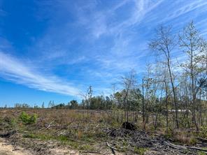 1 County Road 443 - Photo 4