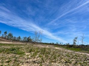 1 County Road 443 - Photo 8