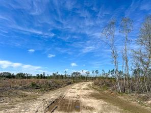 1 County Road 443 - Photo 9
