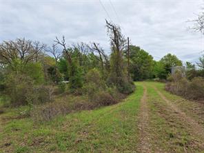 FM 3371 Fm-3371 Path - Photo 10