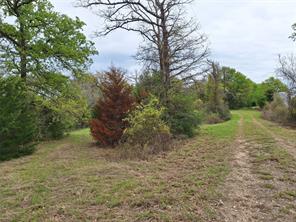 FM 3371 Fm-3371 Path - Photo 11