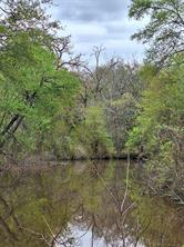 FM 3371 Fm-3371 Path - Photo 14