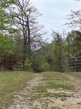 FM 3371 Fm-3371 Path - Photo 15
