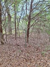 FM 3371 Fm-3371 Path - Photo 18