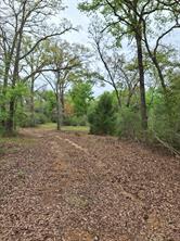 FM 3371 Fm-3371 Path - Photo 19