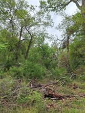 FM 3371 Fm-3371 Path - Photo 20