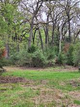 FM 3371 Fm-3371 Path - Photo 23
